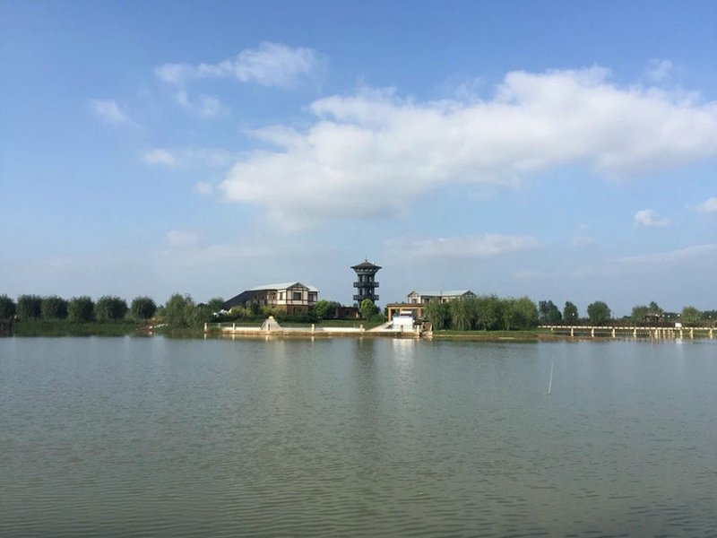 高邮湖鲜
